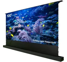 Экран Cactus 125x221см FloorRising CS-PSFRCLR-221X125 16:9 напольный рулонный черный (моторизованный привод)