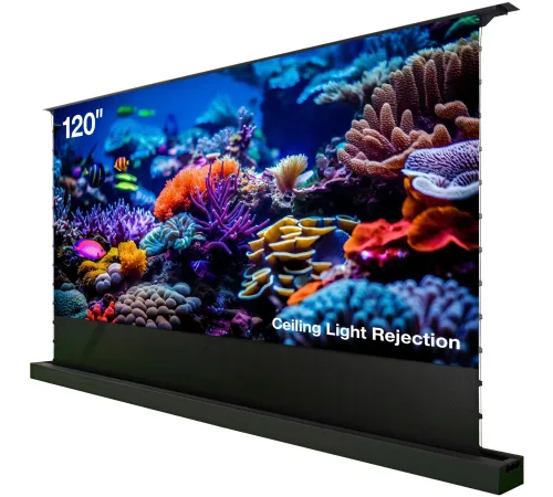 Экран Cactus 148x263см FloorRising CS-PSFRCLR-263X148 16:9 напольный рулонный черный (моторизованный привод)