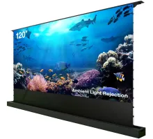 Экран Cactus 148x263см FloorRising CS-PSFRALR-263X148 16:9 напольный рулонный черный (моторизованный привод)
