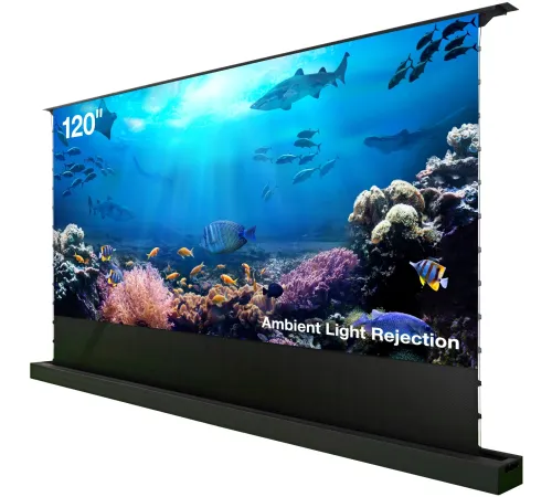 Экран Cactus 148x263см FloorRising CS-PSFRALR-263X148 16:9 напольный рулонный черный (моторизованный привод)