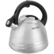 Чайник металлический Rondell Zart RDS-1605 3л. стальной