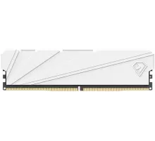 Оперативная память Netac Shadow S 8GB DDR4-3200 (PC4-25600) C16 White 16-20-20-40 1.35V XMP Memory module (DIMM) (NTSSD4P32SP-08W)