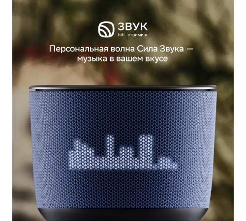 Умная колонка Sber Boom Home SBDV-00171G Салют серый 8W Mono BT/Wi-Fi (без.бат)