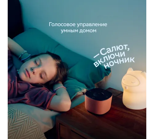 Умная колонка Sber Boom Home SBDV-00171G Салют серый 8W Mono BT/Wi-Fi (без.бат)