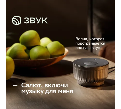 Умная колонка Sber Boom Mini 2 SBDV-00250A Салют черный 5W Mono BT/Wi-Fi