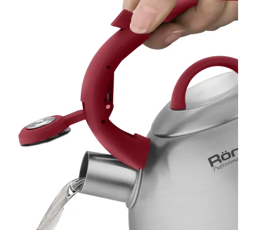 Чайник металлический Rondell Eletto RDS-1825 3л. стальной