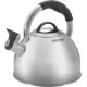 Чайник металлический Rondell Craft RDS-1951 2.5л. стальной