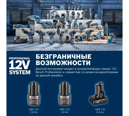Эксцентриковая шлифмашина Bosch GEX 12V-125 D125мм аккум. (0601372101)