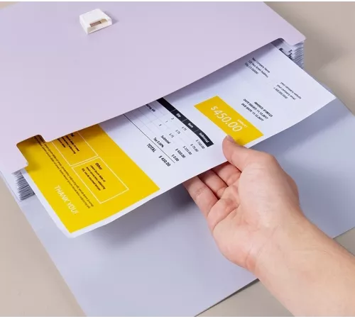 Папка-портфель Deli Colorful EF613 13 отдел. A4 полипропилен ассорти