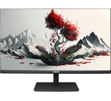 Монитор RDW Computers 23.8" RDW2401K черный IPS 5ms 16:9 HDMI матовая HAS Piv 1000:1 300cd 178гр/178гр 1920x1080 120Hz VGA DP FHD 4.185кг (RUS)