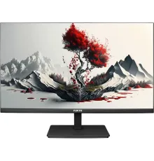 Монитор RDW Computers 23.8" RDW2401K черный IPS 5ms 16:9 HDMI матовая HAS Piv 1000:1 300cd 178гр/178гр 1920x1080 120Hz VGA DP FHD 4.185кг (RUS)