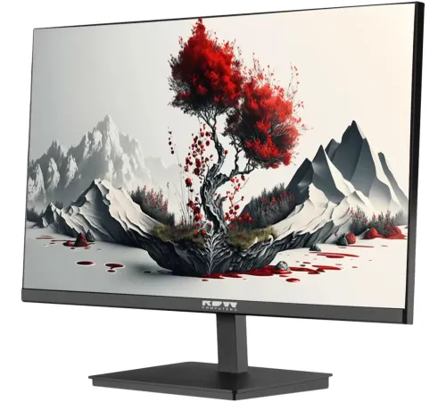 Монитор RDW Computers 23.8" RDW2401K черный IPS 5ms 16:9 HDMI матовая HAS Piv 1000:1 300cd 178гр/178гр 1920x1080 120Hz VGA DP FHD 4.185кг (RUS)