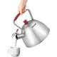 Чайник металлический Rondell Savvy RDS-1826 2.5л. стальной