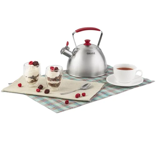 Чайник металлический Rondell Savvy RDS-1826 2.5л. стальной