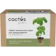 Набор питательных губок Cactus CS-SPONGE-20 для проращивания (упак.:20шт) коробка