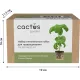 Набор питательных губок Cactus CS-SPONGE-20 для проращивания (упак.:20шт) коробка