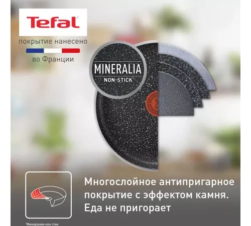 Сковорода Tefal Rock 4235124 круглая 24см покрытие: антипригарное ручка несъемная (без крышки) черный (9100054293)