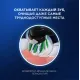 Зубная щетка электрическая Oral-B Vitality Pro 80813151 черный