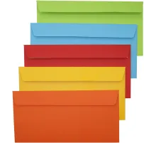 Конверт Silwerhof Eco 225А.10A C65 114x229мм ассорти клеевой слой 120г/м2 (pack:10pcs)