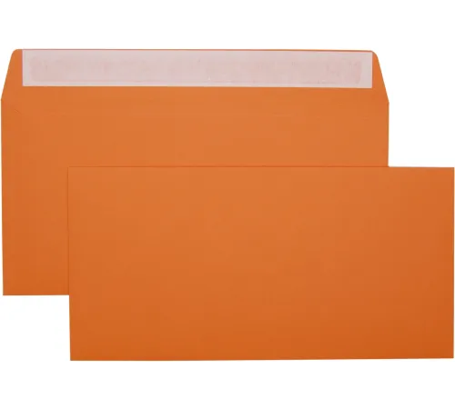 Конверт Silwerhof Eco 225А.10A C65 114x229мм ассорти клеевой слой 120г/м2 (pack:10pcs) Конверт Silwerhof Eco 225А.10A C65 114x229мм ассорти клеевой слой 120г/м2 (pack:10pcs)
