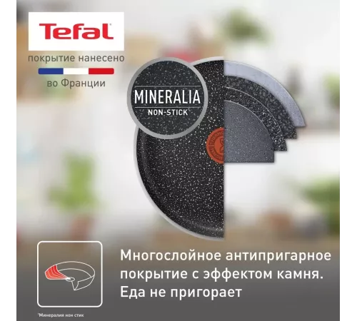 Сковорода блинная Tefal Rock 04235525 круглая 25см покрытие: Mineralia ручка несъемная (без крышки) черный