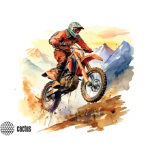 Коврик для мыши Cactus Motobike 250x200x3мм (CS-MP-D12S)