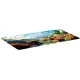 Коврик для мыши Cactus Desert landscape 900x400x3мм (CS-MP-PRO15XXL)