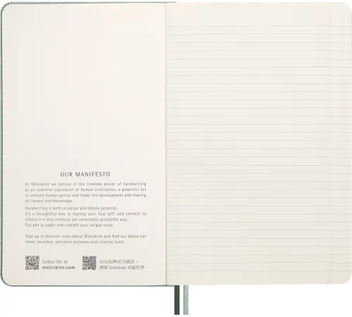 Блокнот Moleskine LIMITED EDITION YEAR OF THЕ SNAKE LECNYSNKVEGMBOX 130х210мм 176стр. линейка подар.кор. мятный Mamba