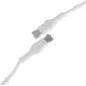 Кабель BoraSCO 52589 USB Type-C (m)-USB Type-C (m) 2м белый коробка