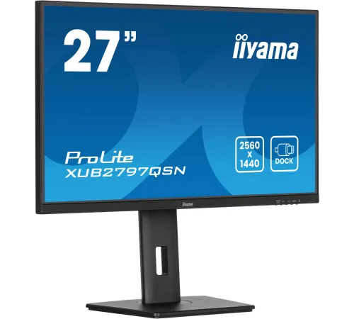 Монитор Iiyama 27" ProLite XUB2797QSN-B2 черный IPS LED 16:9 HDMI M/M матовая HAS Piv 1300:1 300cd 178гр/178гр 2560x1440 100Hz DP Quad HD 2K (1440p) USB 6.1кг