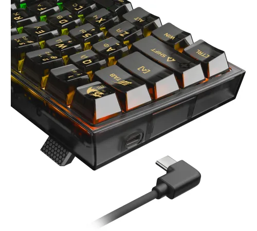Игровая клавиатура Redragon Fizz прозрачно-чёрная 71737 (USB, +ICE, 61 кл., RGB подсветка)