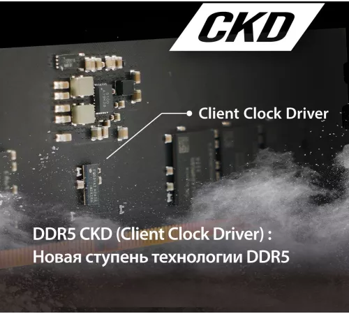 Оперативная память PATRIOT DDR 5 CUDIMM 32Gb 6400Mhz, Signature Line (PSD532G6402C) (retail)