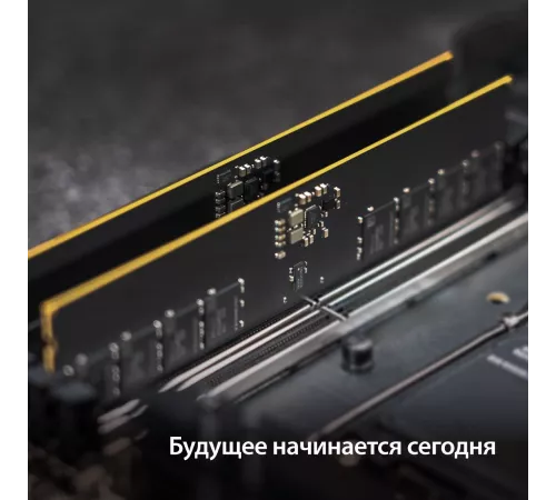 Оперативная память PATRIOT DDR 5 CUDIMM 32Gb 6400Mhz, Signature Line (PSD532G6402C) (retail)