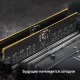 Оперативная память PATRIOT DDR 5 CUDIMM 32Gb 6400Mhz, Signature Line (PSD532G6402C) (retail)