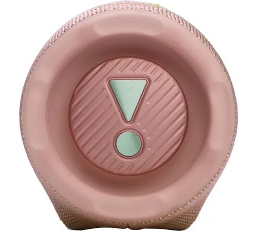 Портативная акустика JBLCHARGE6PINK розовый