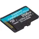 Флеш карта microSDXC 256GB Kingston SDCG4/256GBSP Canvas Go! Plus V10 A2 w/o adapter