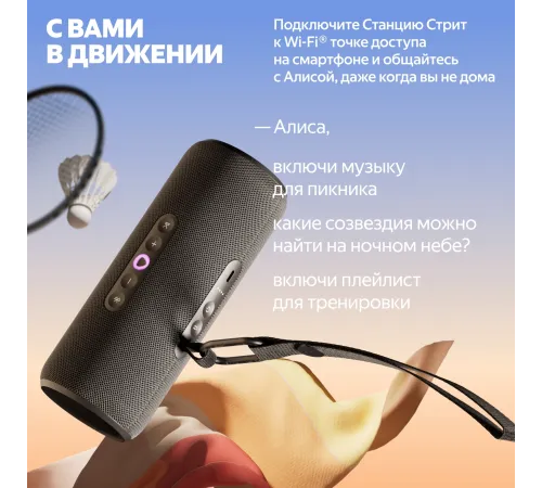 Яндекс Станция Стрит с Алисой черный [YNDX-00030BLK]