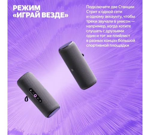 Яндекс Станция Стрит с Алисой черный [YNDX-00030BLK]