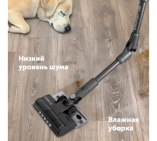 Пылесос Polaris PVCSDC 8001 450Вт графит (в компл.:3мешка)