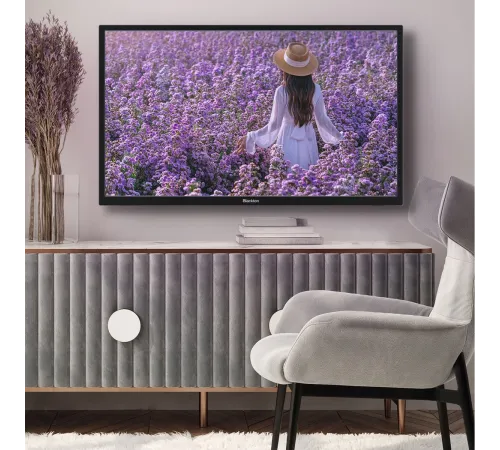 Телевизор Blackton 24" Bt 24FS32B черный DLED HD 60Hz AndroidTV Телевизор Blackton 24" Bt 24FS32B черный DLED HD 60Hz AndroidTV