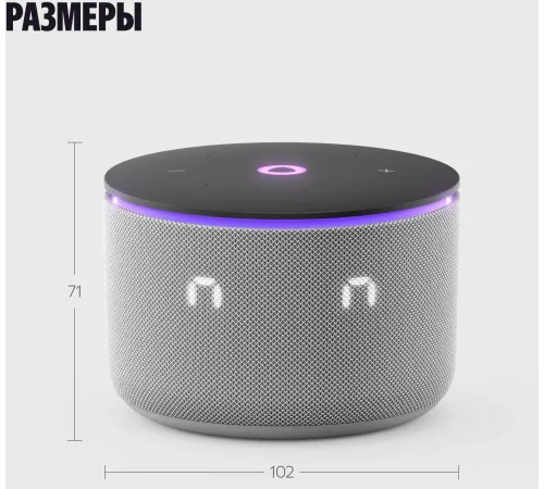 Умная колонка Яндекс Станция Мини 3 Про с Алисой, Zigbee, серый, YNDX-00059GRY Умная колонка Яндекс Станция Мини 3 Про с Алисой, Zigbee, серый, YNDX-00059GRY