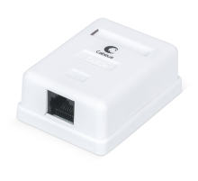 Cabeus WS-8P8C-Cat.5e-1 Розетка компьютерная RJ-45, категория 5e, одинарная, внешняя, Dual IDC (WS-8P8C-Cat.5e-1)
