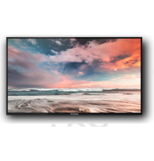 Профессиональный дисплей GoodView 55" AD display, 600cd/m2, 24/7, FHD (M55SAH)