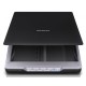 Сканер Epson Perfection V19 (B11B231401)