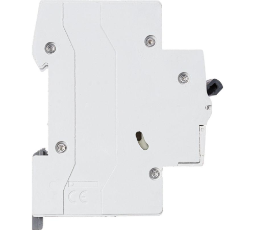 RX3 Авт.выключатель 4,5кА 63А 2П C Legrand 419703