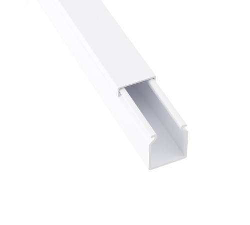 Dkc 00323 TA-EN 25 x 30 Короб с крышкой с плоской основой ( 2 метра)