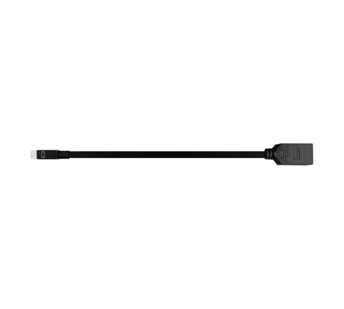 Bion Переходник с кабелем Display Port - mini Display Port, DP20F/mDP20M, длина кабеля 15см, черный [BXP-A-DP-mDP]