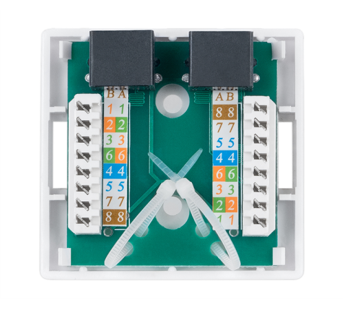 Розетка компьютерная rj-45(8p8c), категория 6, двойная Cabeus WS-8P8C-Cat.6-2 Розетка компьютерная RJ-45(8P8C), категория 6, двойная, внешняя, Dual IDC (WS-8P8C-Cat.6-2)