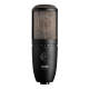 Микрофон AKG P420 RECORDING MIC
