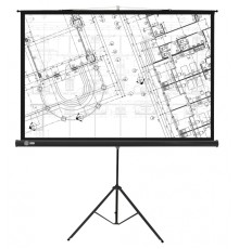 Экран Cactus 127x127см Triscreen CS-PST-127X127 1:1 напольный рулонный черный
